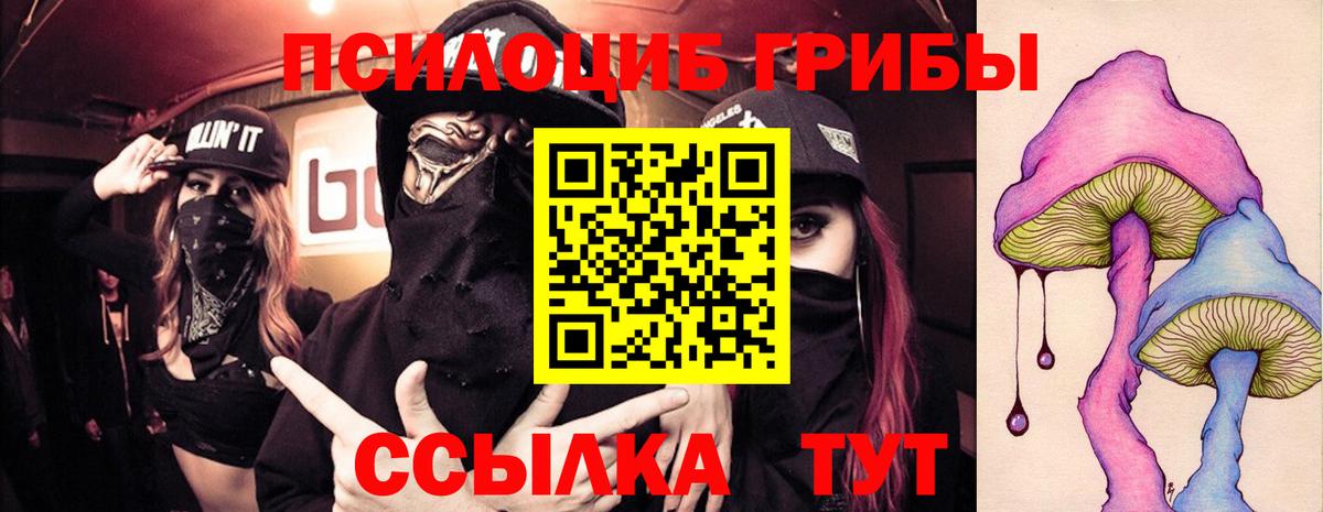 Псилоцибиновые грибы мицелий Новосибирск