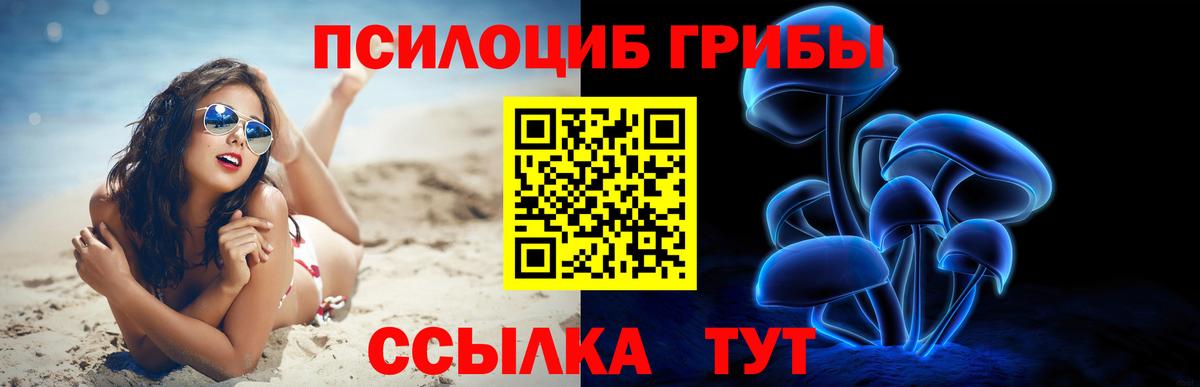 Новосибирск  Галлюциногенные грибы Psilocybine cubensis  Вход с VPN 